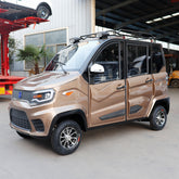New Energy Low Speed 4 wheel Electric Mini Vehicle for Adults